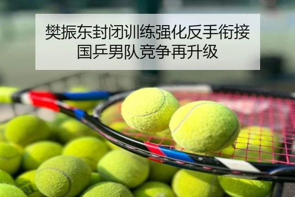 樊振东封闭训练强化反手衔接 国乒男队竞争再升级