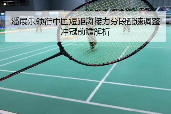 潘展乐领衔中国短距离接力分段配速调整冲冠前瞻解析